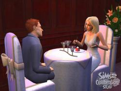    The Sims 2: Celebration Stuff