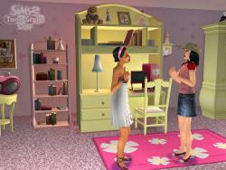    The Sims 2: Teen Style Stuff