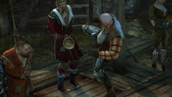    The Witcher 2