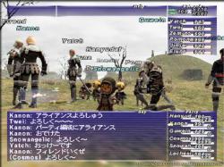    Final Fantasy XI