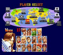    Super Street Fighter II: The New Challengers