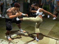    Def Jam: Fight for NY