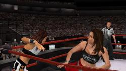    WWE SmackDown! vs. Raw 2006