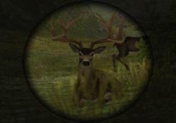    Cabela's Deer Hunt: 2005 Season