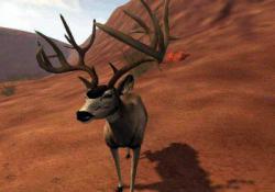    Cabela's Deer Hunt: 2004 Season