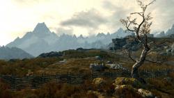    The Elder Scrolls V: Skyrim