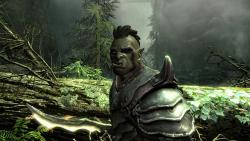    The Elder Scrolls V: Skyrim