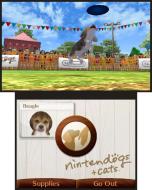    Nintendogs + Cats: Shiba & New Friends