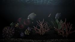    My Aquarium