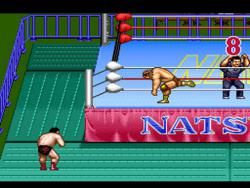    Natsume Championship Wrestling