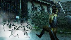    Tenchu 4: Shadow Assassins