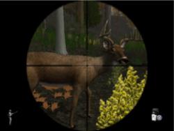    Deer Hunter
