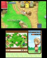    Harvest Moon: Tale of Two Towns