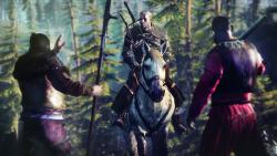    The Witcher 3: Wild Hunt