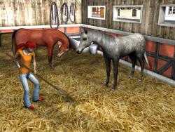    My Riding Stables