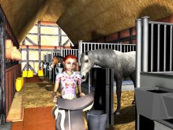    My Riding Stables