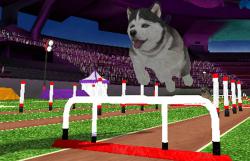    Petz Sports: Dog Playground