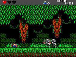    Adventure Island