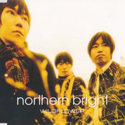 Northern Bright