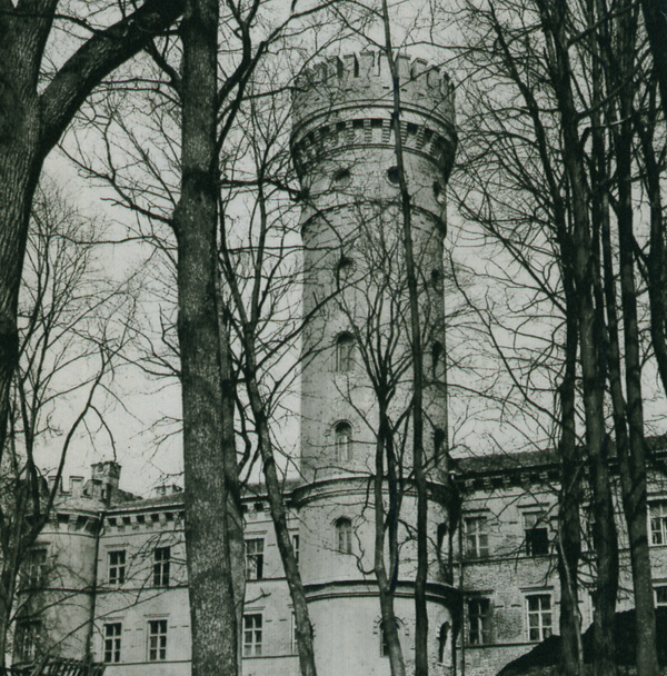 Замок, Раудоне