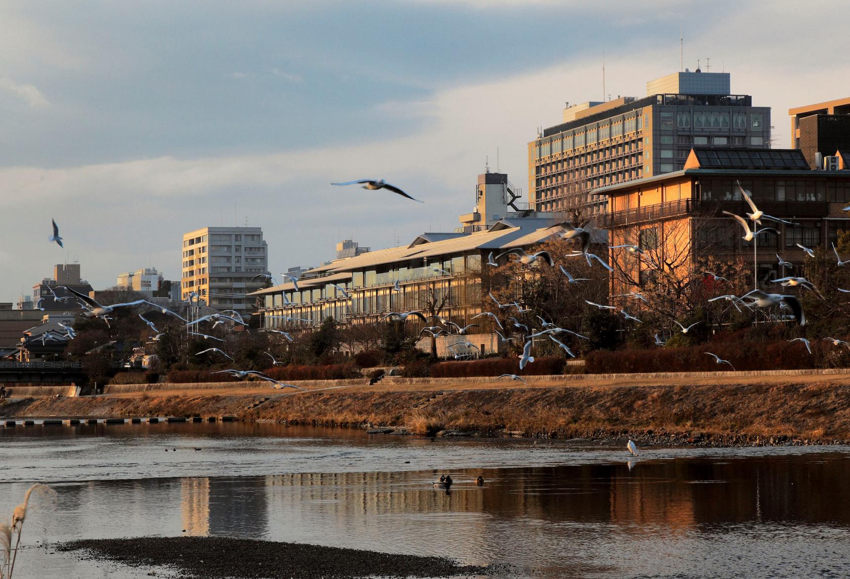 Ритц-Карлтон в Киото, Киото (The Ritz-Carlton, Kyoto)