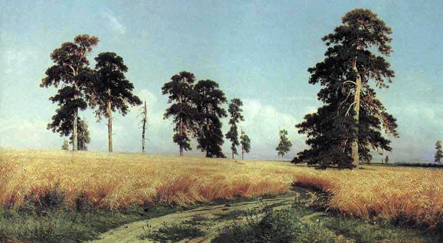 Картинка дня